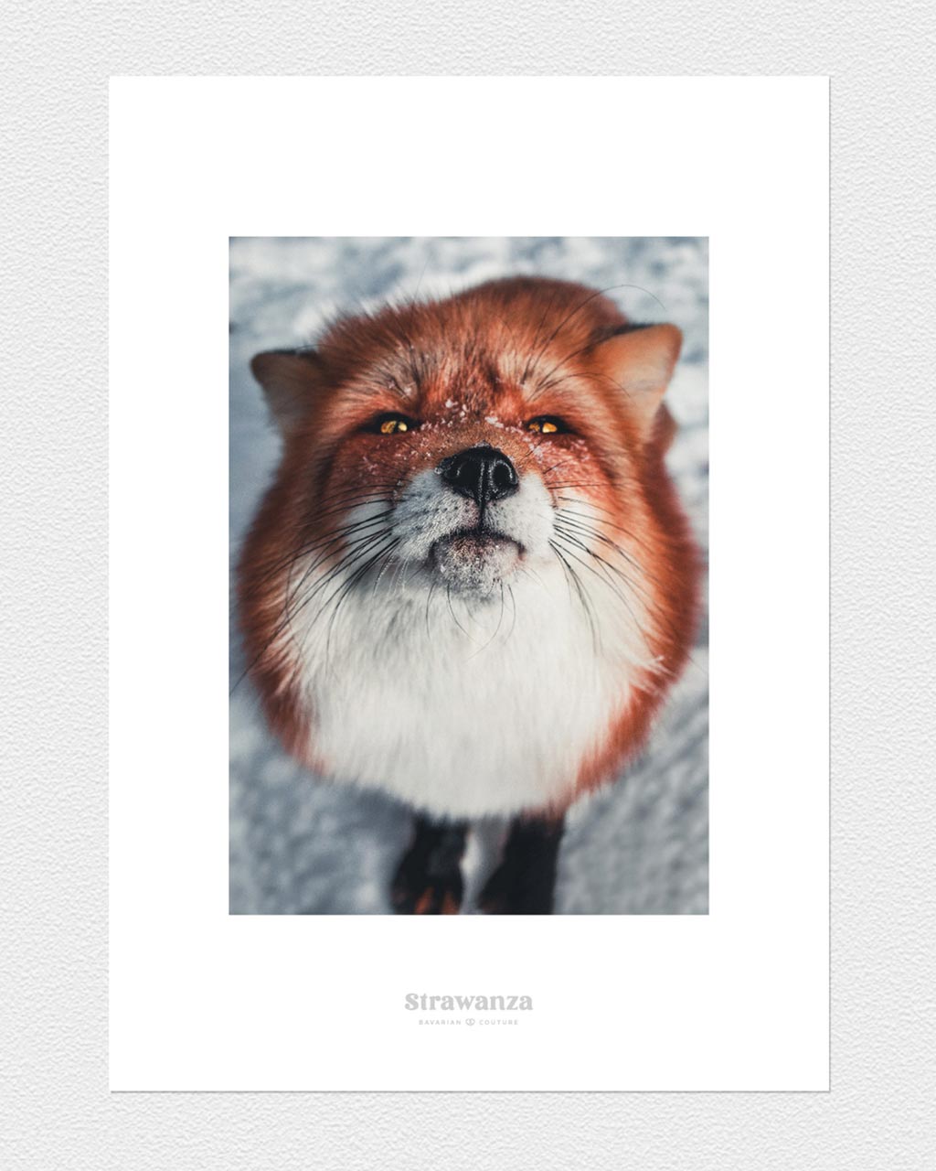 Fuxdeifeswuid Poster - A3