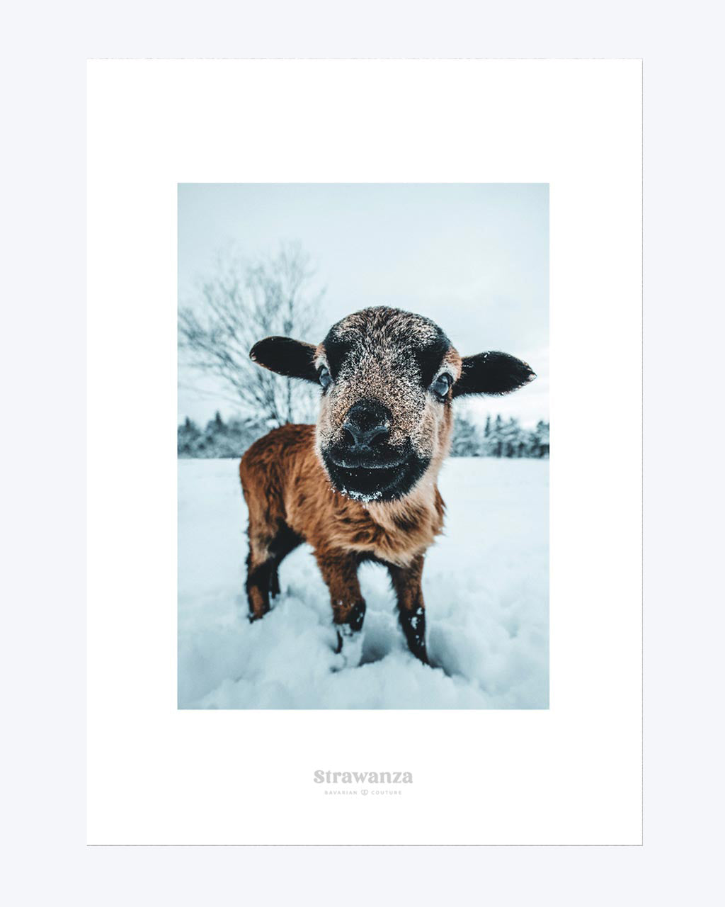 Griasdi Ziege Poster - A3